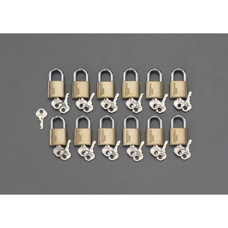 エスコ EA983SH-130M 30mm南京錠(マスターキー付/12個組) 1個（ご注文単位1個）【直送品】