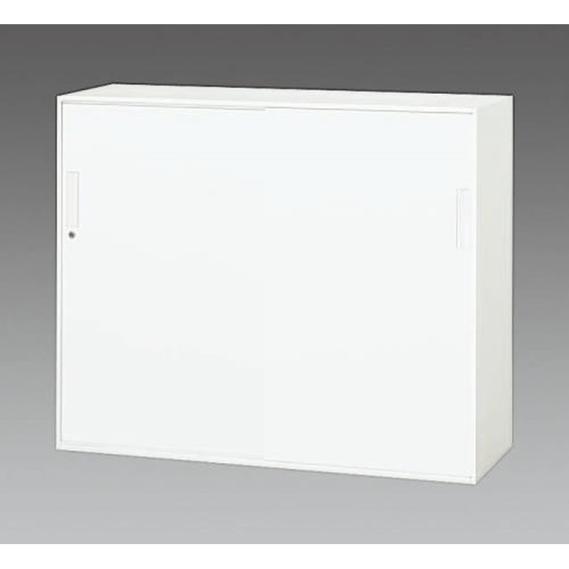 エスコ EA954DJ-24 1200x450x1030mm収納庫(引き戸) 1個（ご注文単位1個）【直送品】