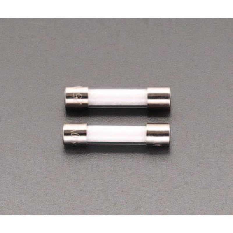 エスコ EA758ZZ-25A 250Vx5.0A/φ6.4mm管ヒューズ(消弧剤入/2本) 1個（ご注文単位1個）【直送品】