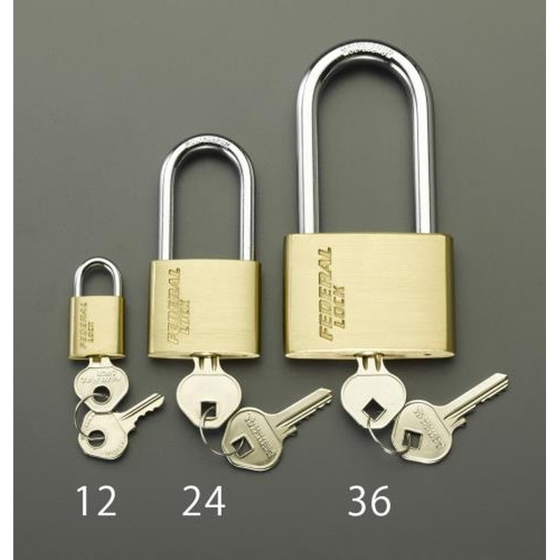 エスコ EA983SG-26 60mmシリンダー南京錠(40mm吊長) 1個（ご注文単位1個）【直送品】