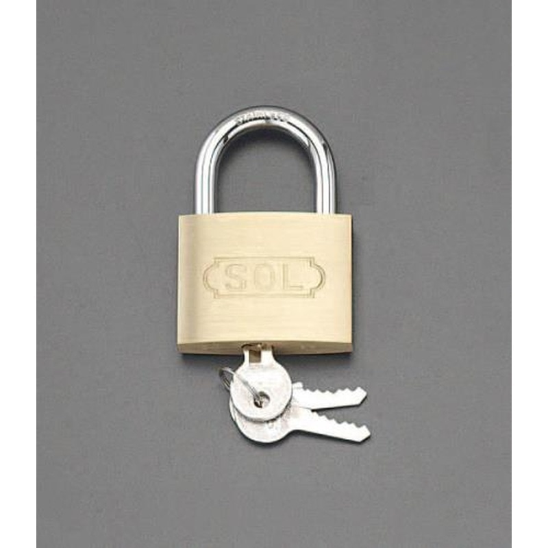 エスコ EA983TC-156 50mmシリンダー錠(ステンレス製ツル/同一キー) 1個（ご注文単位1個）【直送品】