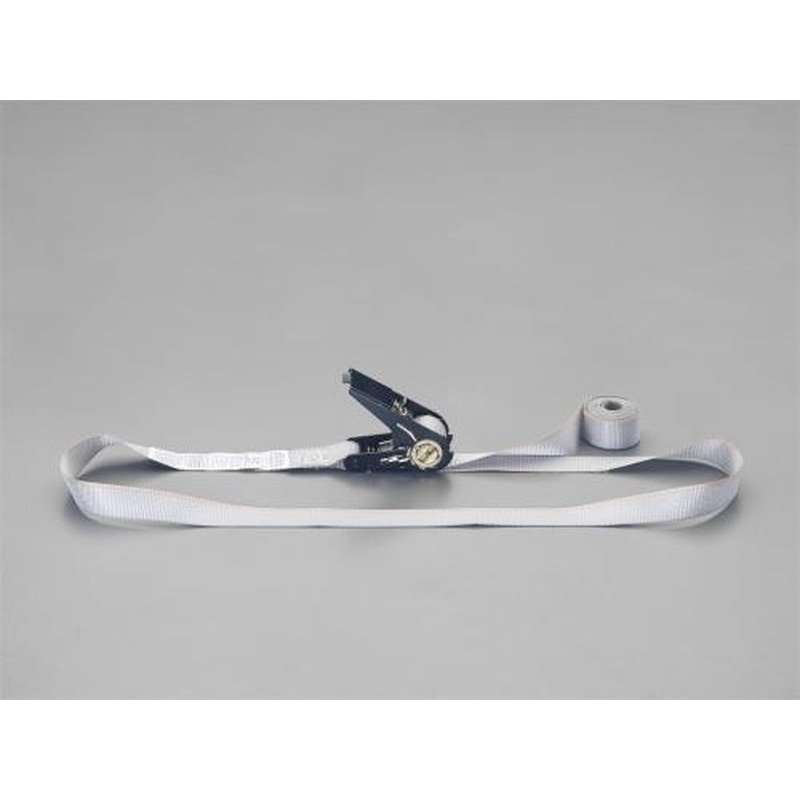 エスコ EA982BB-10A 180kg/25mmx4.0mベルト荷締機(ラチェット式/灰) 1個（ご注文単位1個）【直送品】