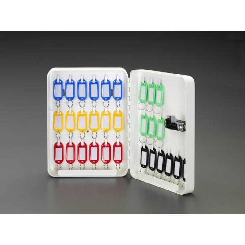 エスコ EA956VE-62 187x75x250mmキーボックス(ダイヤルロック式/30本用) 1個（ご注文単位1個）【直送品】