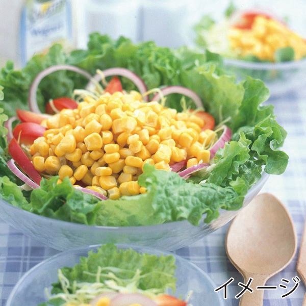 パール金属 ガジェコン　とうもろこしカッター  CC-1224 1個（ご注文単位10個）【直送品】