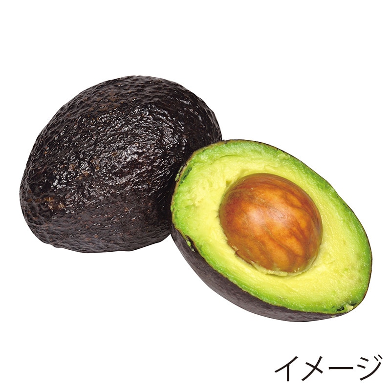 パール金属 ガジェコン ミニマッシャー CC-1227 1個(ご注文単位10個)【直送品】