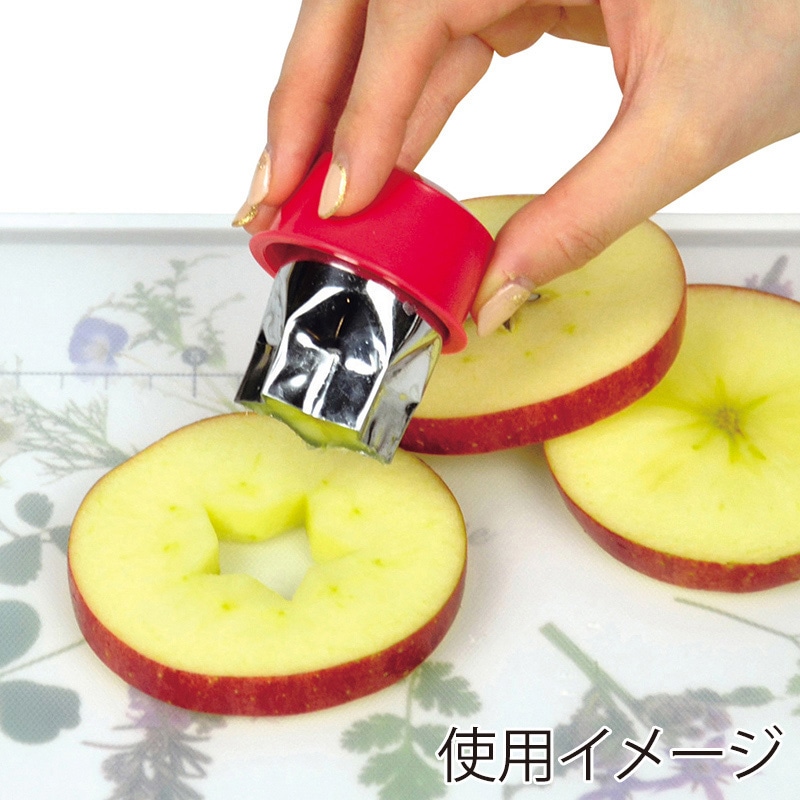 パール金属 ガジェコン 楽しいフルーツ抜型セット CC-1236 1個(ご注文単位10個)【直送品】