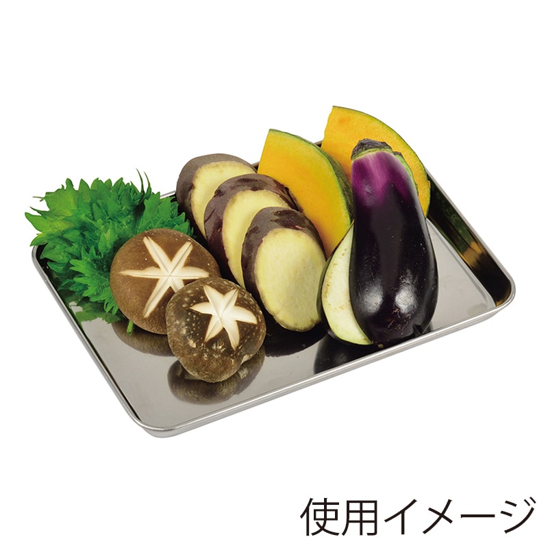 パール金属 ステンレス製調理トレー M 215×150×15mm HB-3505 1個(ご注文単位10個)【直送品】