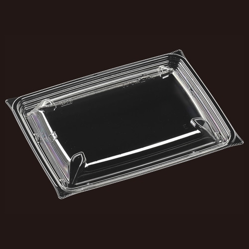 エフピコ サラダ容器　スリムBOX　嵌合蓋 T-スリムBOX19-14  100枚/袋（ご注文単位9袋）【直送品】