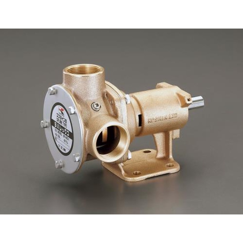 エスコ EA991CR-48 φ50mm単体ポンプ 1個（ご注文単位1個）【直送品】