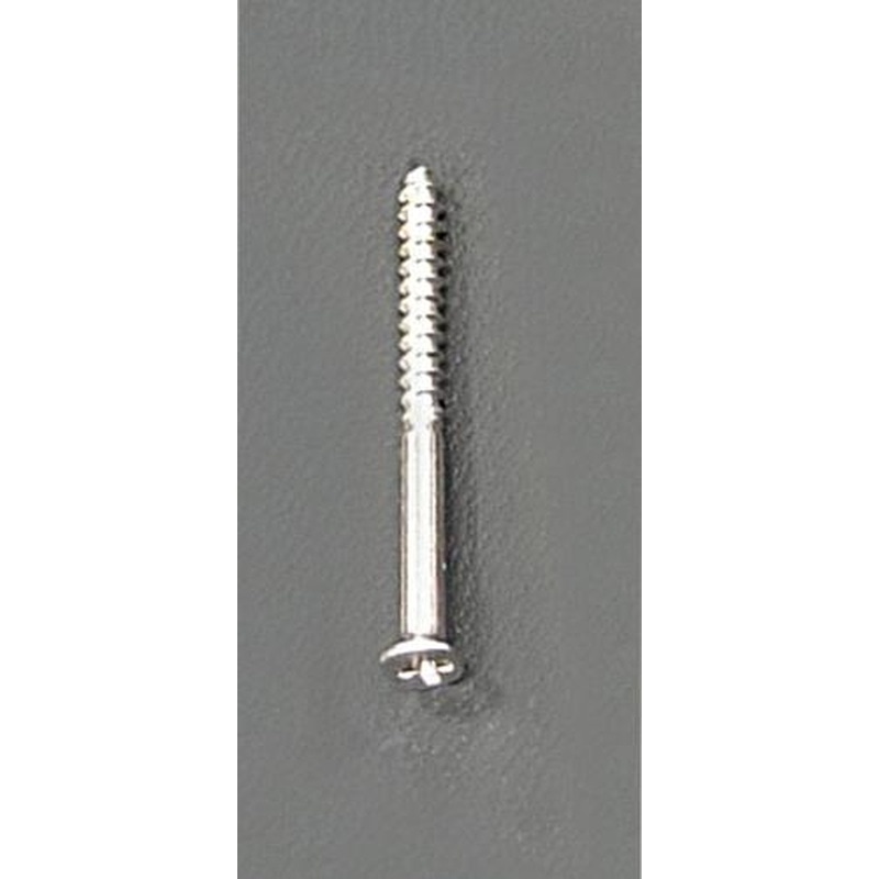 エスコ EA949FC-216 2.0x16mm木工用極細ビス(700本) 1個（ご注文単位1個）【直送品】