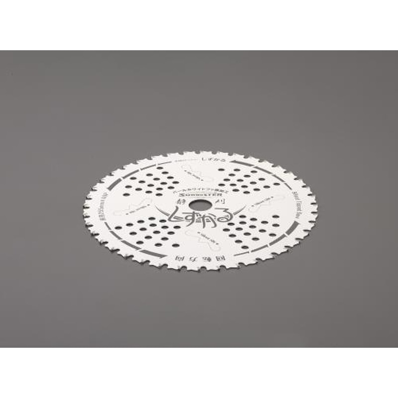 エスコ EA898B-72 255mm/40T超硬チップソー(消音型) 1個（ご注文単位1個）【直送品】