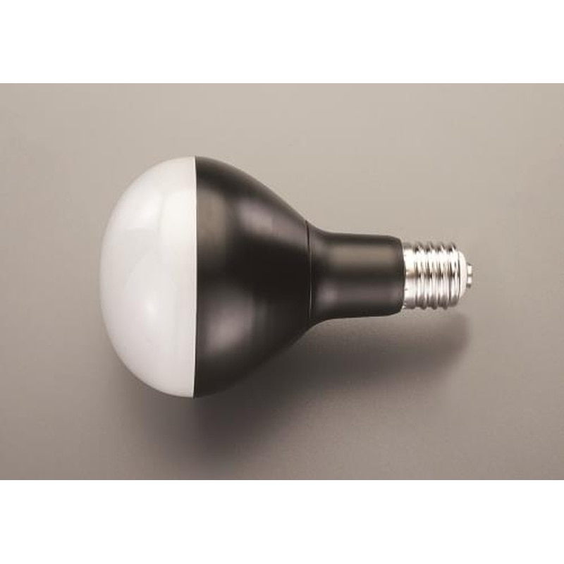 エスコ EA814AR-30 27W/口金E39作業灯用LED球 1個（ご注文単位1個）【直送品】