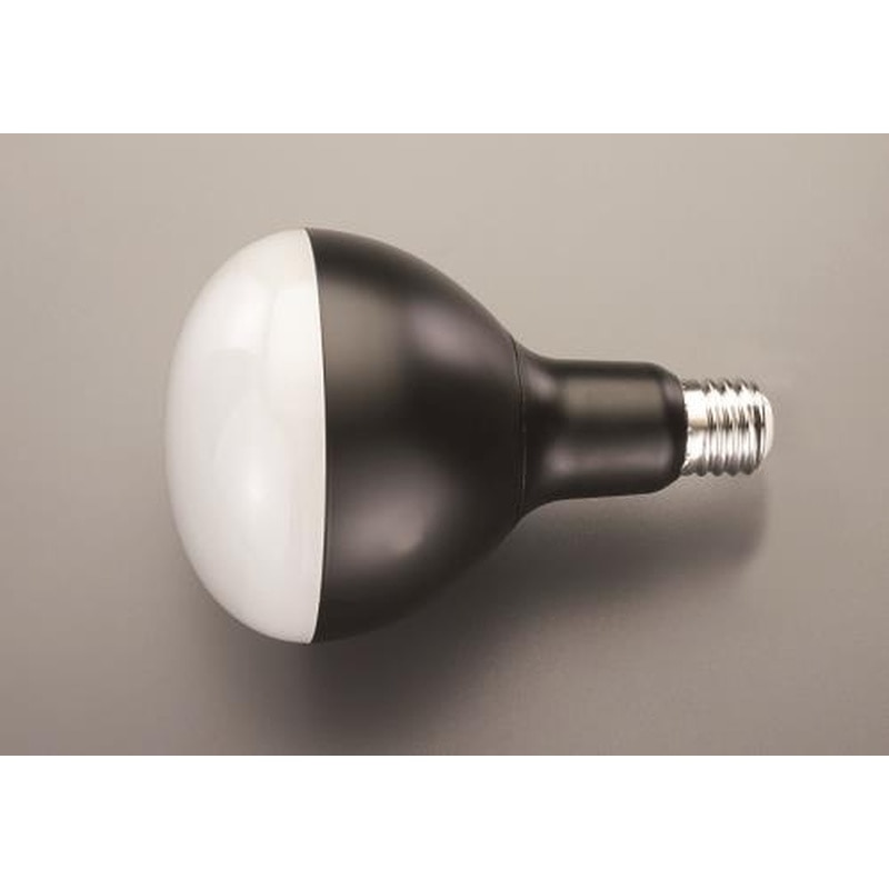 エスコ EA814AR-55 45W/口金E39作業灯用LED球 1個（ご注文単位1個）【直送品】