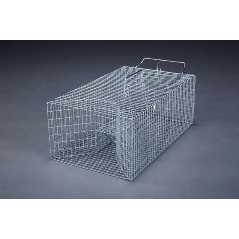 エスコ EA650-6 465x280x180mmねずみ捕獲器 1個（ご注文単位1個）【直送品】