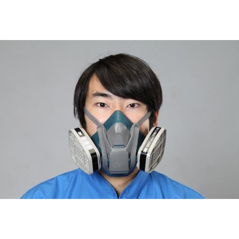 エスコ EA800NJ-1[S]防毒マスク 1個（ご注文単位1個）【直送品】