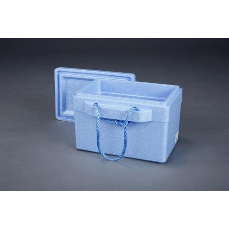 エスコ EA917AH-12 470x330x250mm/18L発泡クーラーボックス 1個（ご注文単位1個）【直送品】