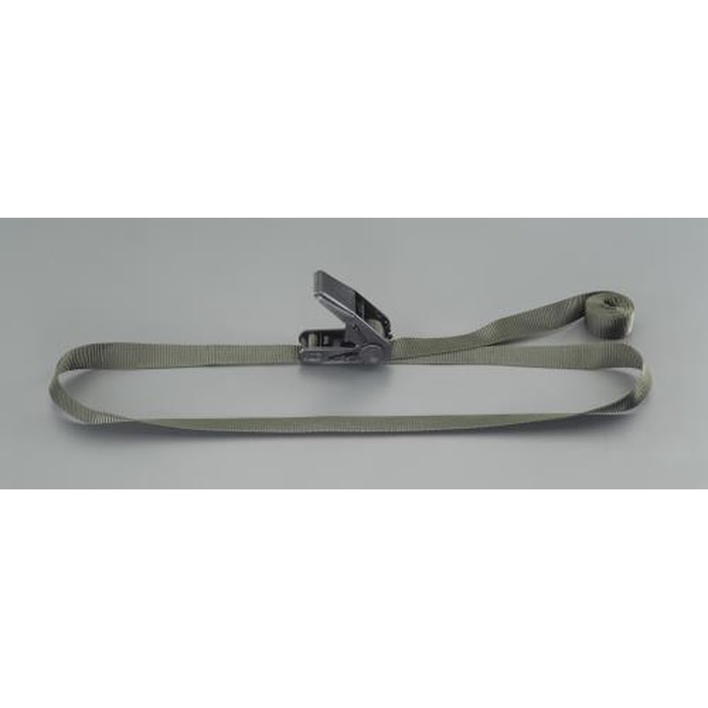 エスコ EA982B-95 25mmx5.0m/200kgベルト荷締機(エンドレス/OD) 1個(ご注文単位1個)【直送品】