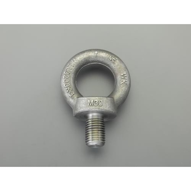 エスコ EA638SD-54 M42x63mmアイボルト(炭素鋼製) 1個（ご注文単位1個）【直送品】