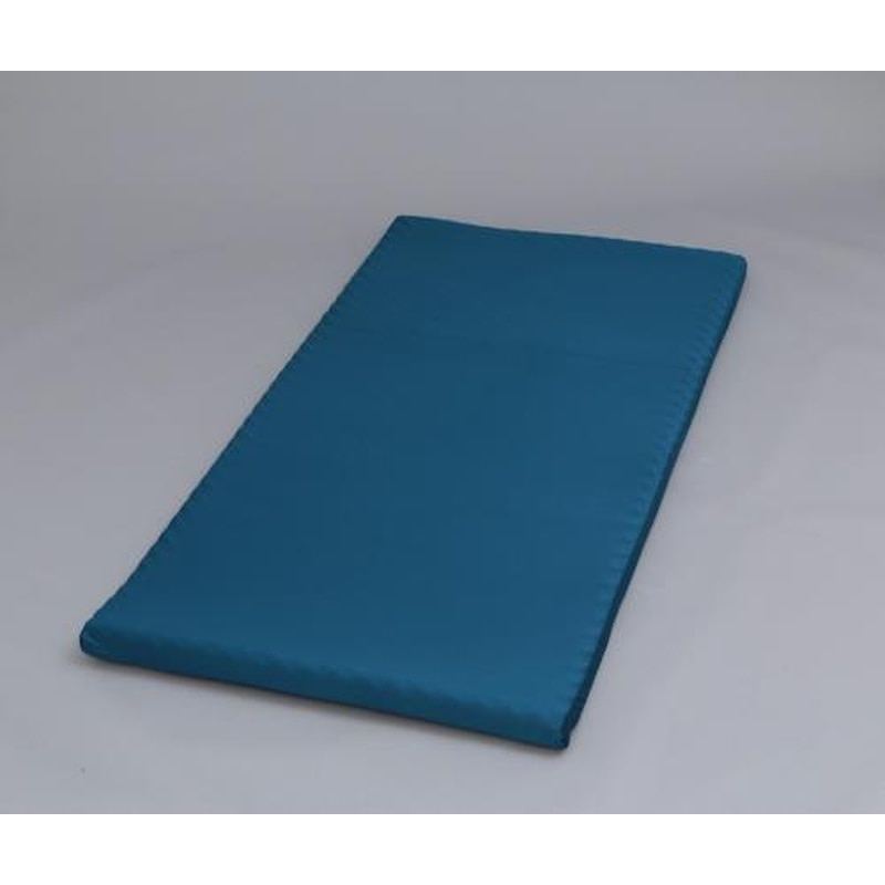 エスコ EA913YH-50 970x1950x50mmマットレス 1個（ご注文単位1個）【直送品】