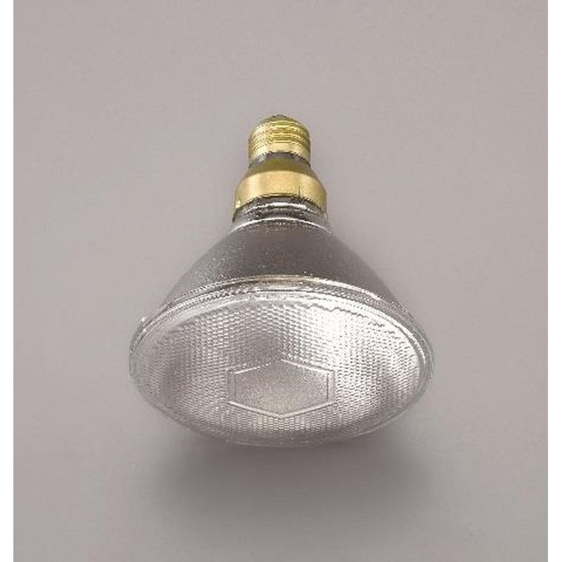エスコ EA758XA-61A AC110V/60W/75形ビームランプ(散光) 1個（ご注文単位1個）【直送品】