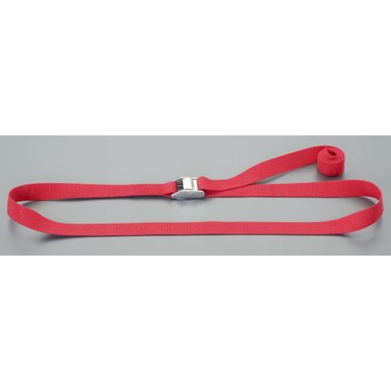 エスコ EA982BA-114 25mmx4.0m荷締ストラップ(ステンレス製/カム式/赤) 1個（ご注文単位1個）【直送品】