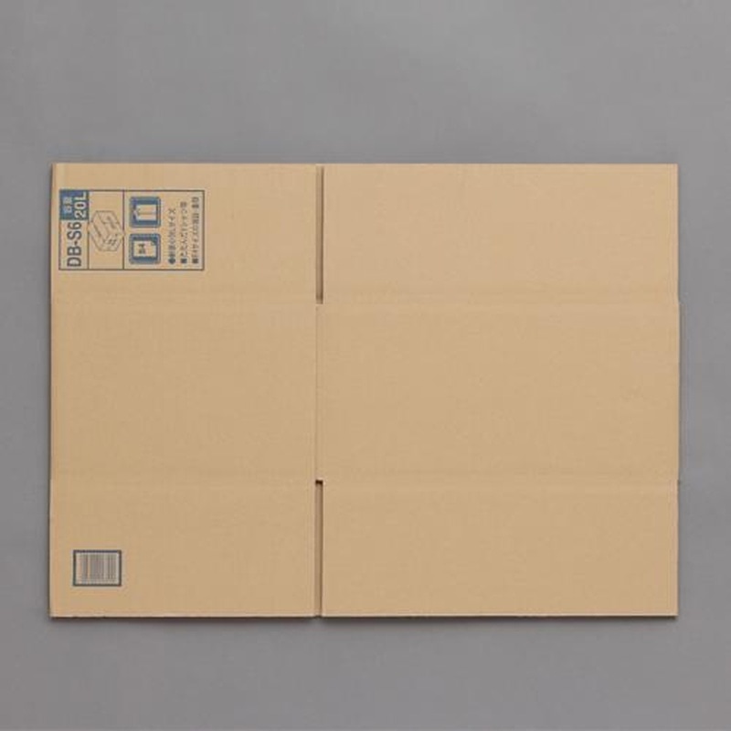 エスコ EA995BS-108 390x290x200mmダンボール(10枚) 1個（ご注文単位1個）【直送品】