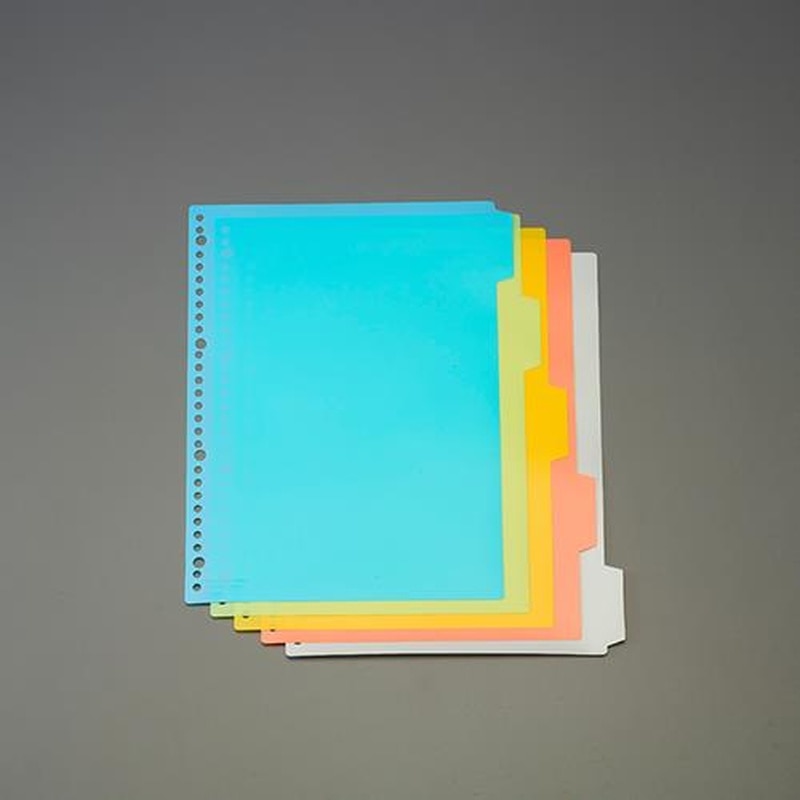 エスコ EA762CS-21 A4判カラーインデックス(PPシート/5色入) 1個（ご注文単位1個）【直送品】