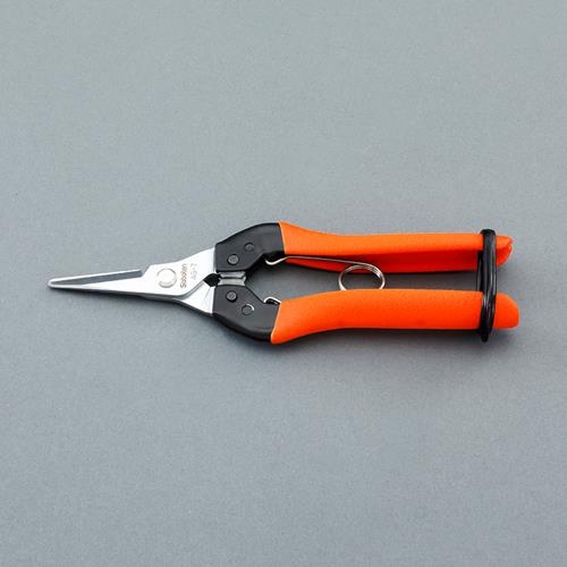 エスコ EA540BK-23 177mm摘果はさみ 1個（ご注文単位1個）【直送品】