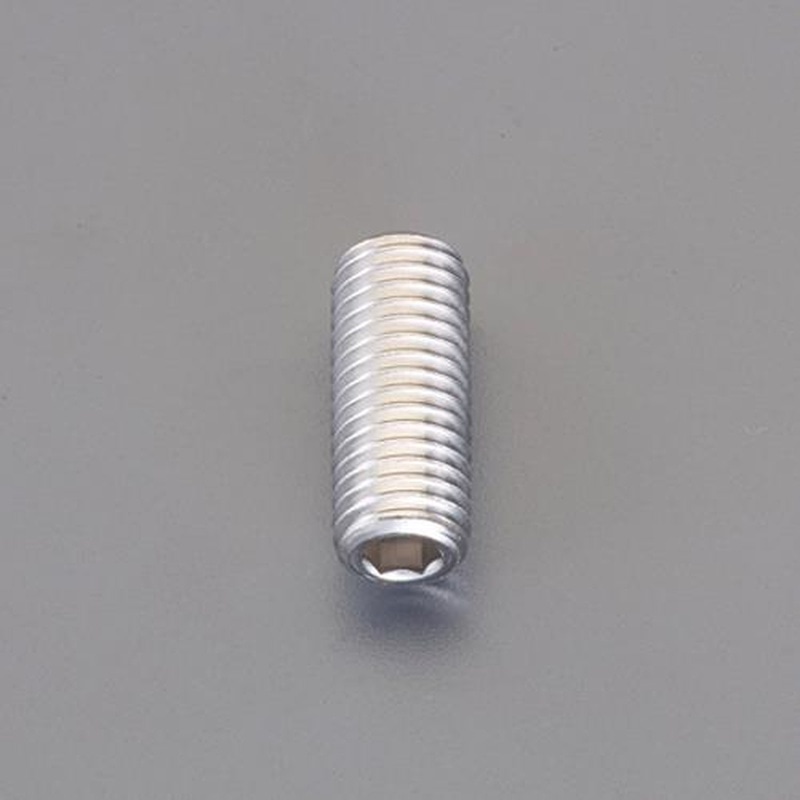 エスコ EA949DY-103 M10x15mm六角穴付止めねじ(平先/SUS/2本) 1個（ご注文単位1個）【直送品】
