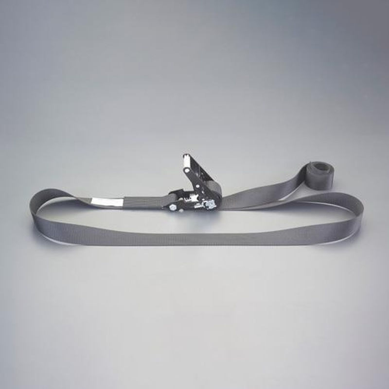 エスコ EA982SJ-25 50mmx5.0m/1520kgベルト荷締機(エンドレス) 1個(ご注文単位1個)【直送品】