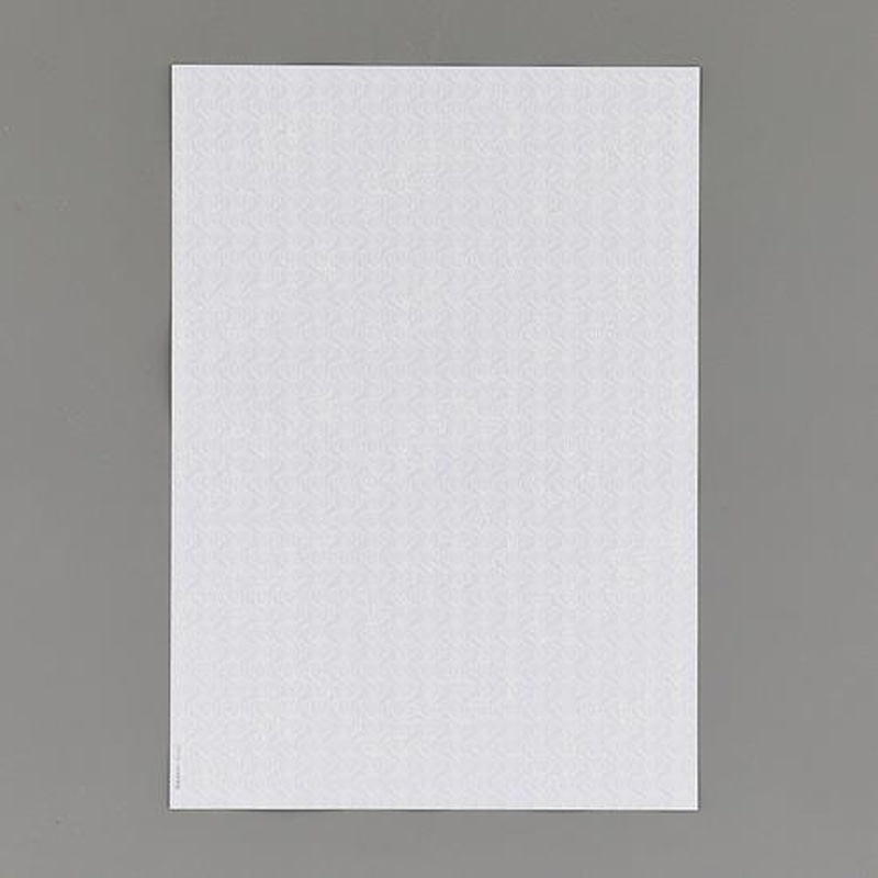 エスコ EA759XD-131 A4/コピー偽造防止用紙(片面/110枚) 1個(ご注文単位1個)【直送品】