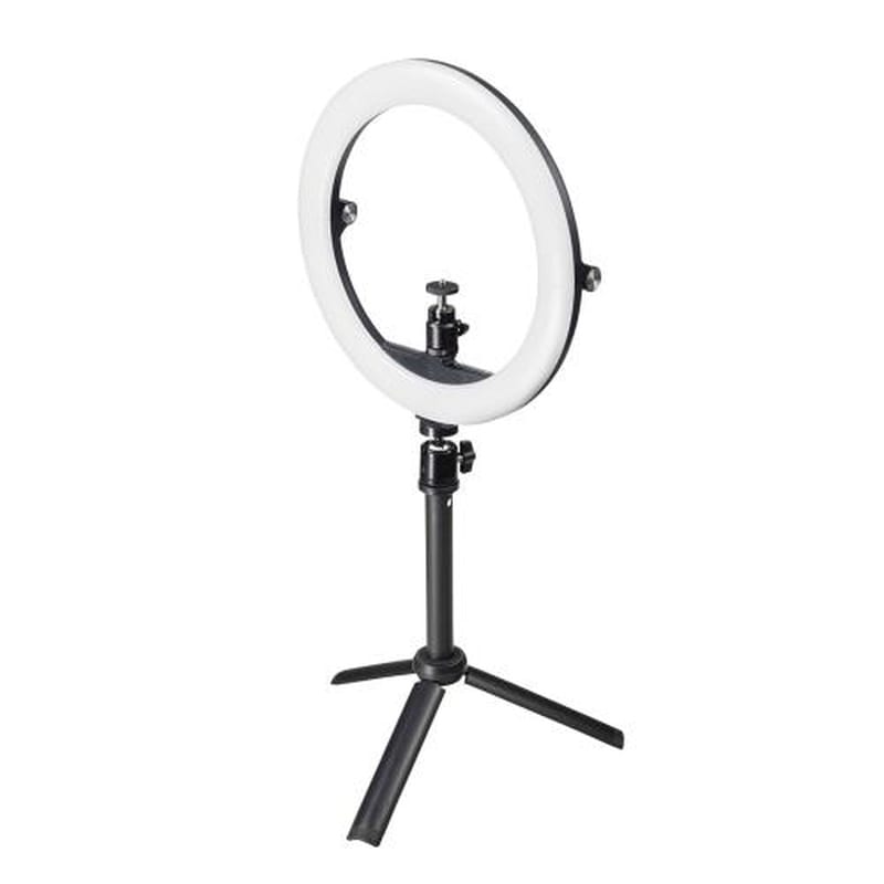 エスコ EA761XL-17 LED照明灯(スタンド付/WEBカメラ用) 1個(ご注文単位1個)【直送品】