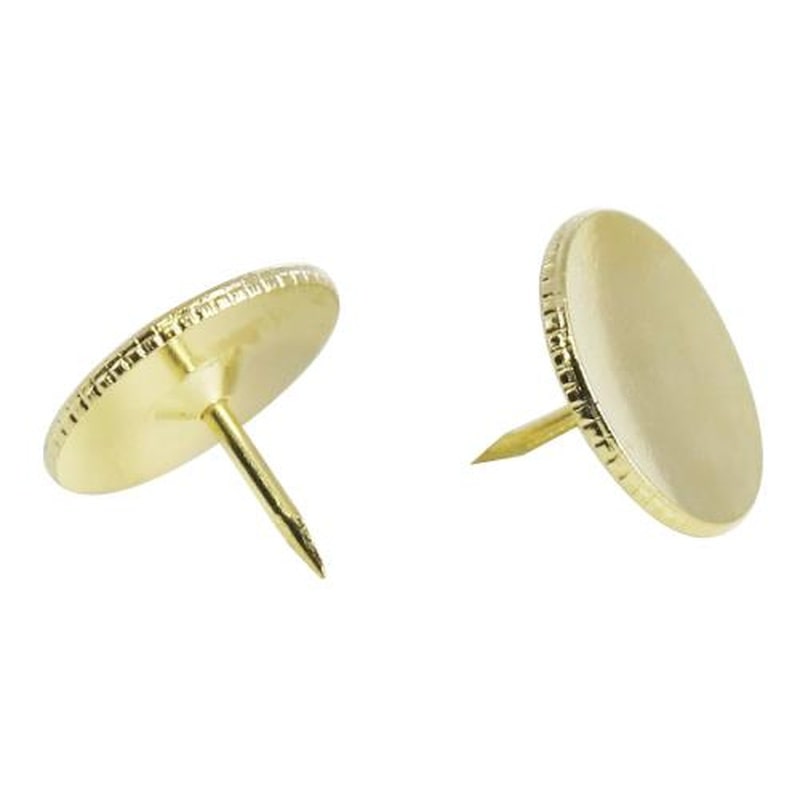 エスコ EA762FC-73 画鋲(500本) 1個(ご注文単位1個)【直送品】