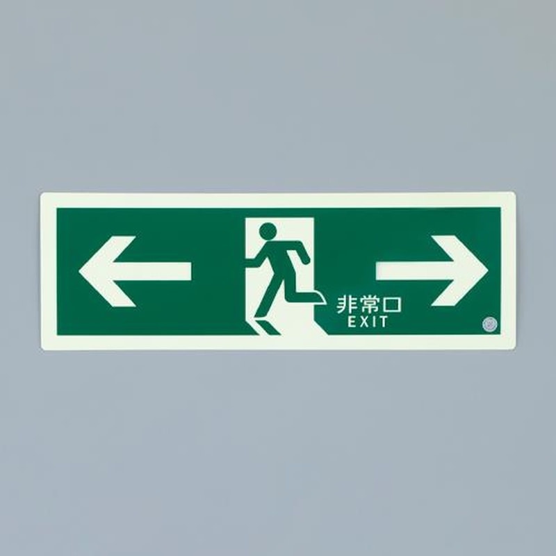 エスコ EA983AH-29 120x360mm［高輝度蓄光式]避難口標識 1個（ご注文単位1個）【直送品】