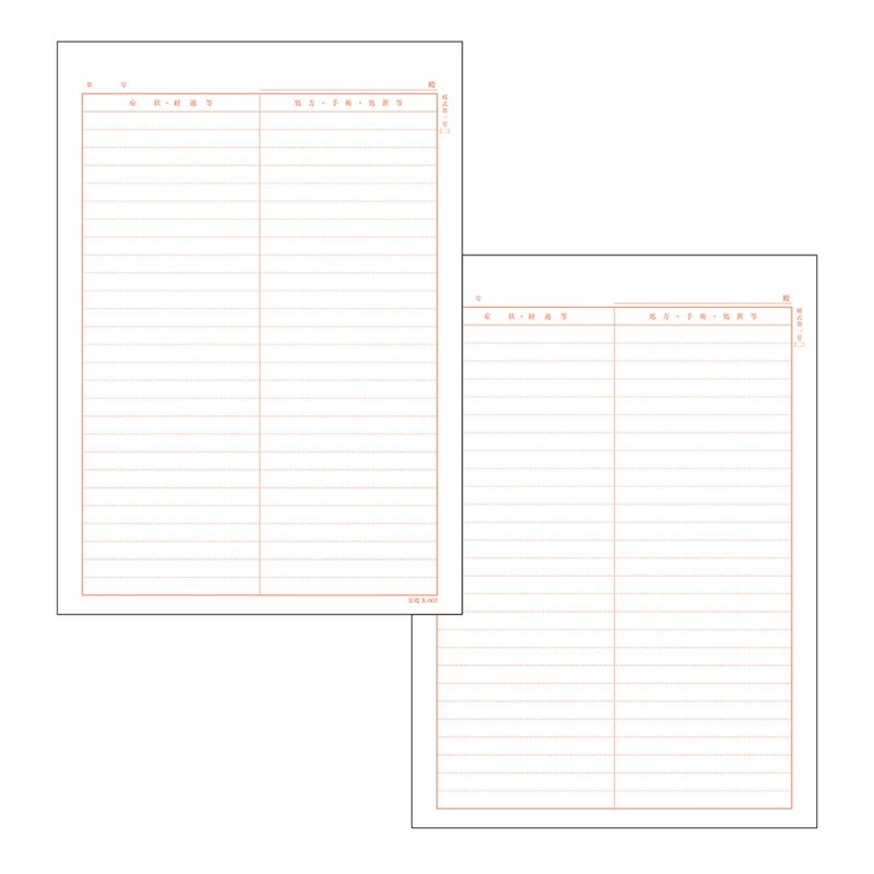 金鵄製作所 カルテ2号用紙 社保 会計なし K-003 41011-301 1箱（ご注文単位1箱）【直送品】