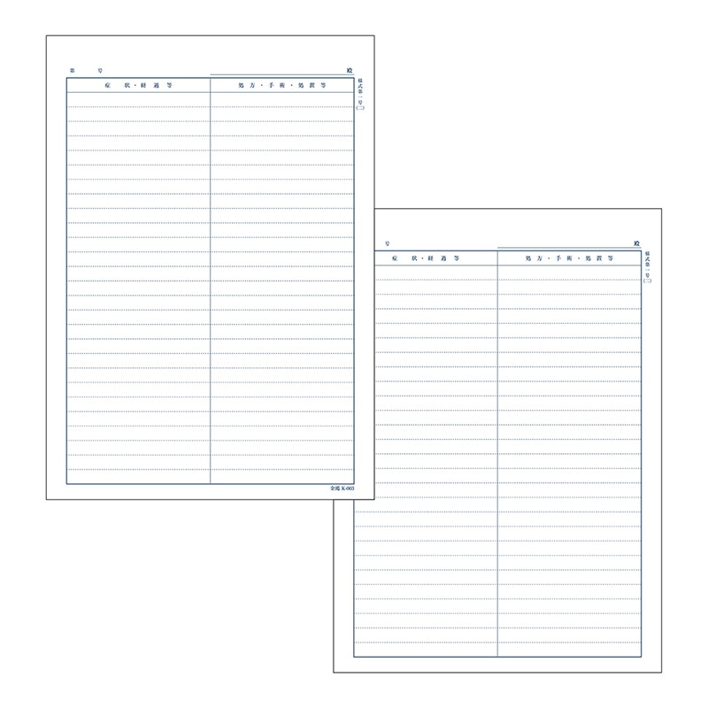 金鵄製作所 カルテ2号用紙 国保 会計なし K-003 41011-302 1箱（ご注文単位1箱）【直送品】