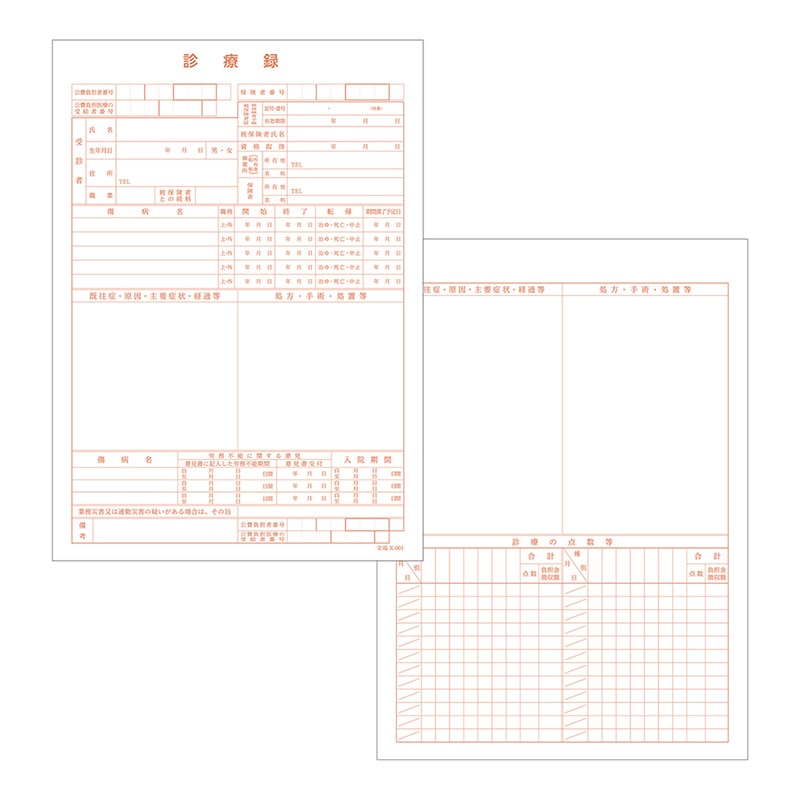 金鵄製作所 カルテ1号用紙 診療録 社保 K-001 41012-101 1箱（ご注文単位1箱）【直送品】