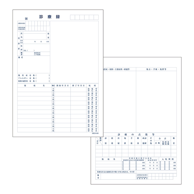 金鵄製作所 カルテ1号用紙 診療録 国保 K-005 41012-502 1箱（ご注文単位1箱）【直送品】