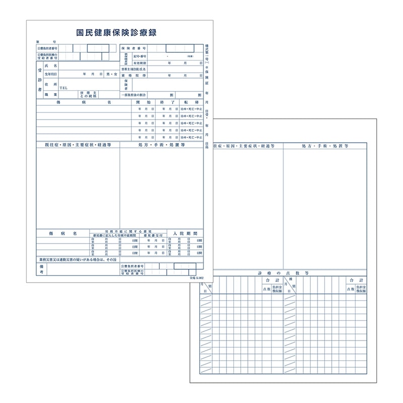 金鵄製作所 カルテ1号用紙 診療録 国保 K-002 41022-202 1箱（ご注文単位1箱）【直送品】