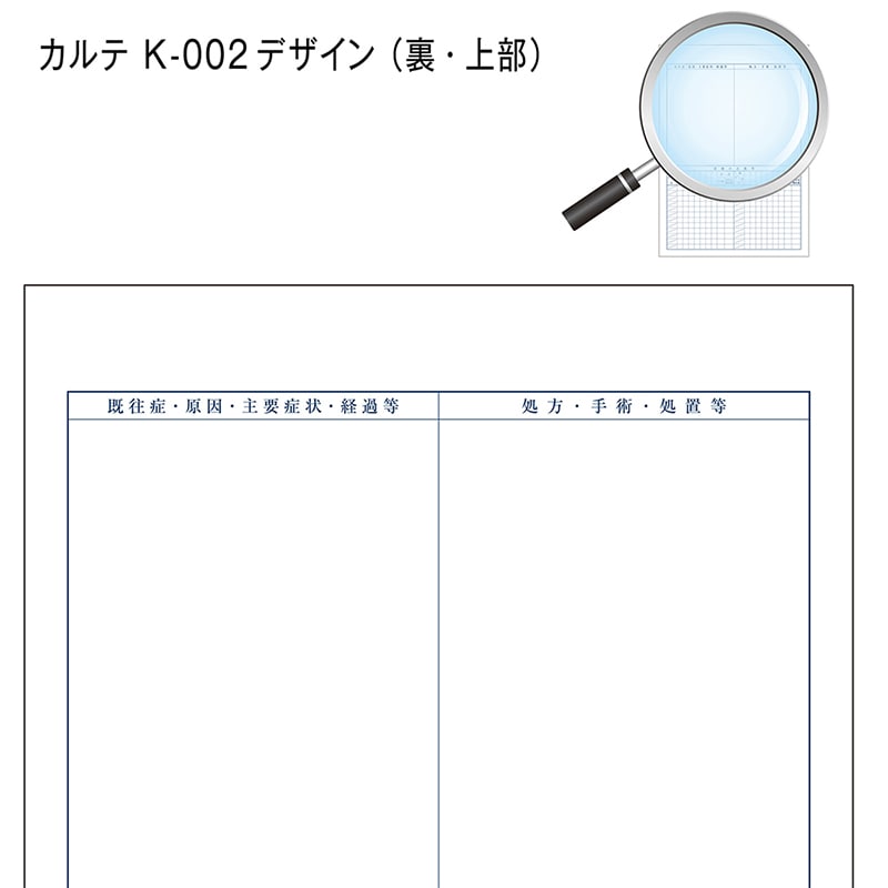 金鵄製作所 カルテ1号用紙 診療録 国保 K-002 41022-202 1箱(ご注文単位1箱)【直送品】