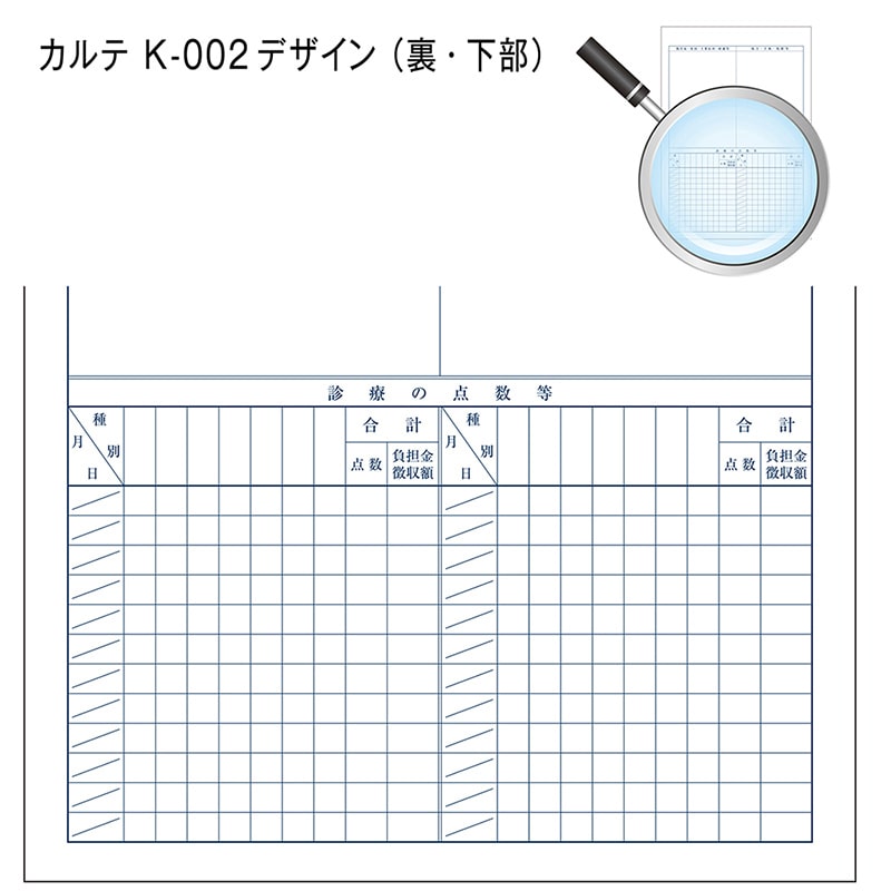 金鵄製作所 カルテ1号用紙 診療録 国保 K-002 41022-202 1箱(ご注文単位1箱)【直送品】