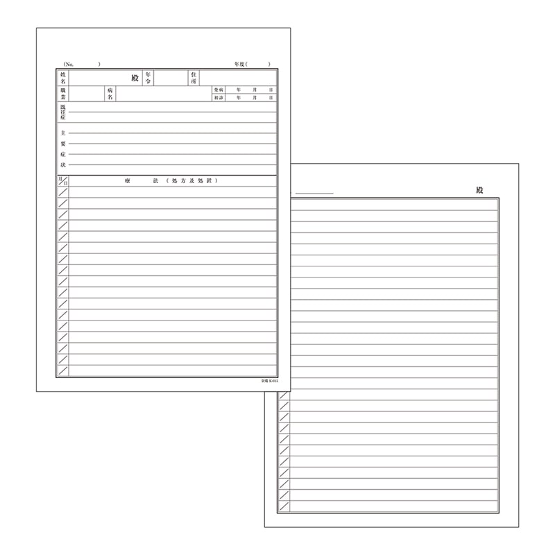 金鵄製作所 カルテ1号用紙 自費診療用 K-015 41022-603 1箱（ご注文単位1箱）【直送品】