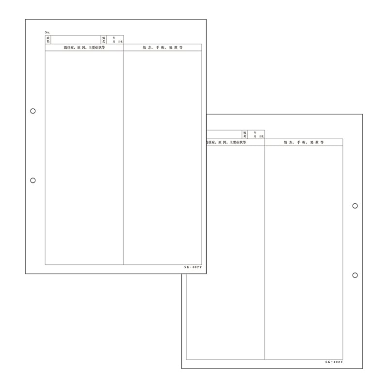 金鵄製作所 カルテ2号用紙 診療録 2穴付 会計なし 41911-003 1箱（ご注文単位1箱）【直送品】