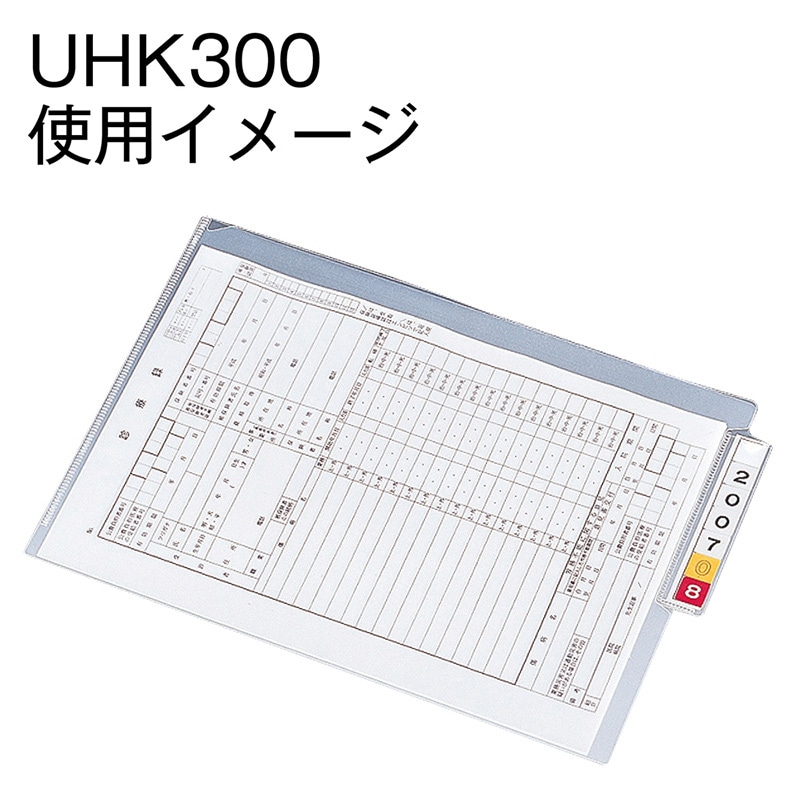 金鵄製作所 カルテフォルダー シングルポケット A4 80800-100 1箱(ご注文単位1箱)【直送品】