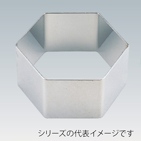 アルゴン　六角セルクル　H30  108002010 1個（ご注文単位1個）【直送品】