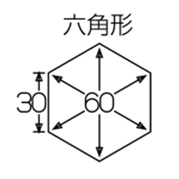 アルゴン 六角セルクル H30 108002010 1個(ご注文単位1個)【直送品】