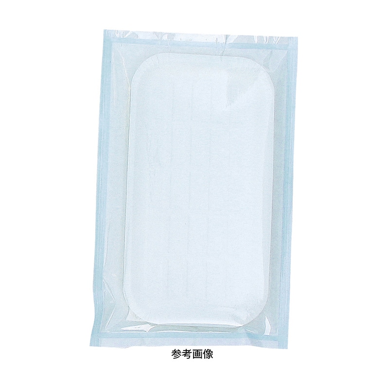 ステラパック　ロールパウチ 5554　4L　250mm×200m  2個/箱（ご注文単位1箱）【直送品】