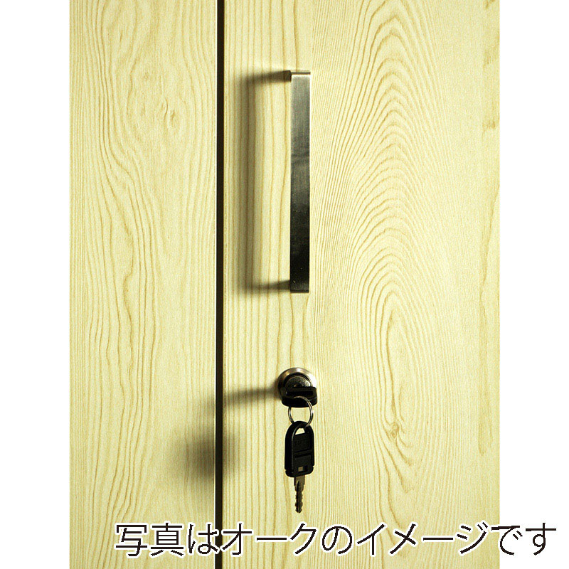 木扉スチールロッカー 3人用 ダーク 1台（ご注文単位1台）【直送品】