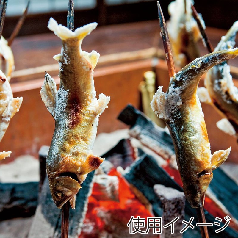 神堂 魚串 31cm 06153 50本/パック(ご注文単位1パック)【直送品】