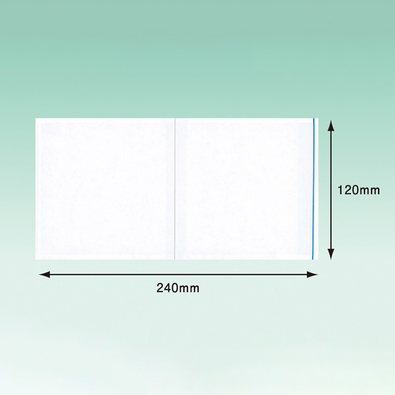 パピルスカンパニー 伝票袋 デリバリーパック ポケットタイプ PA-001T 100枚/束